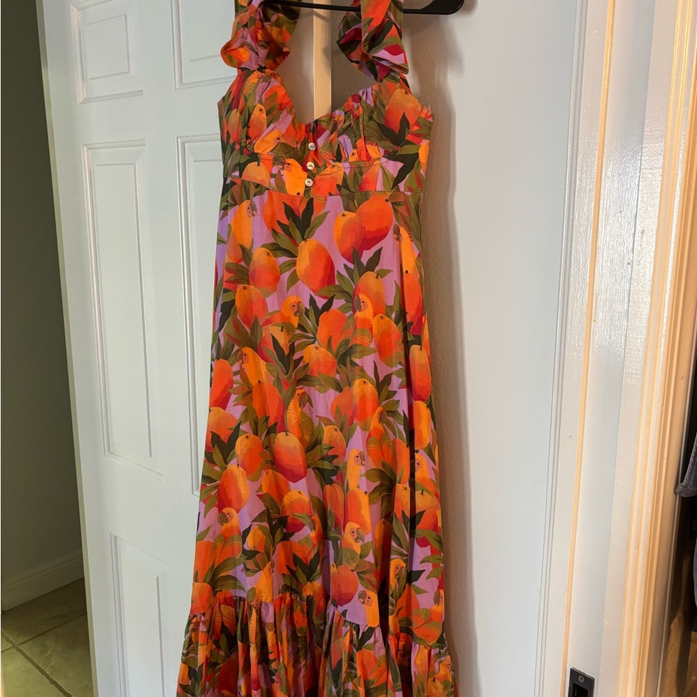 Mango and macaws Maxi Dress